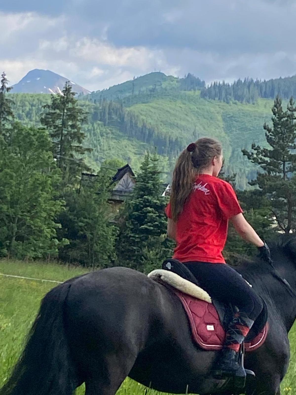 Malowany Domek W Gorach Ciche  Dış mekan fotoğraf